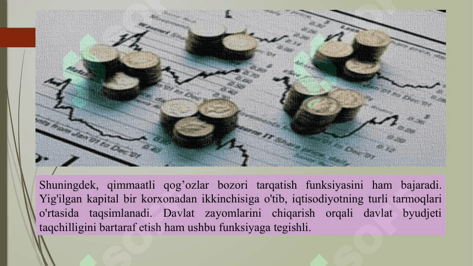 RENTALAR 7