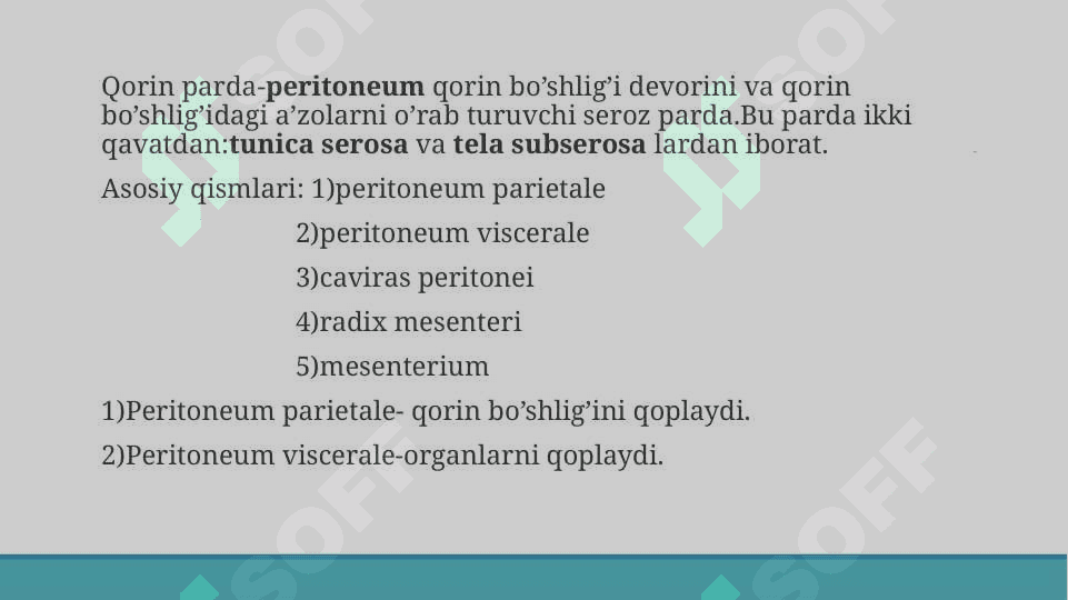 Qorin parda.Sinuslar,kanallar,qopchalar 2