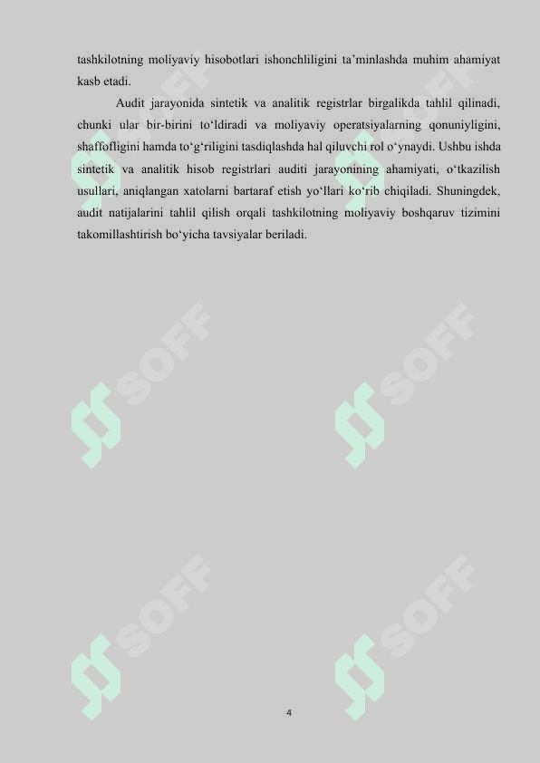 SINTETIK VA ANALITIK HISOB VA AUDITI 4