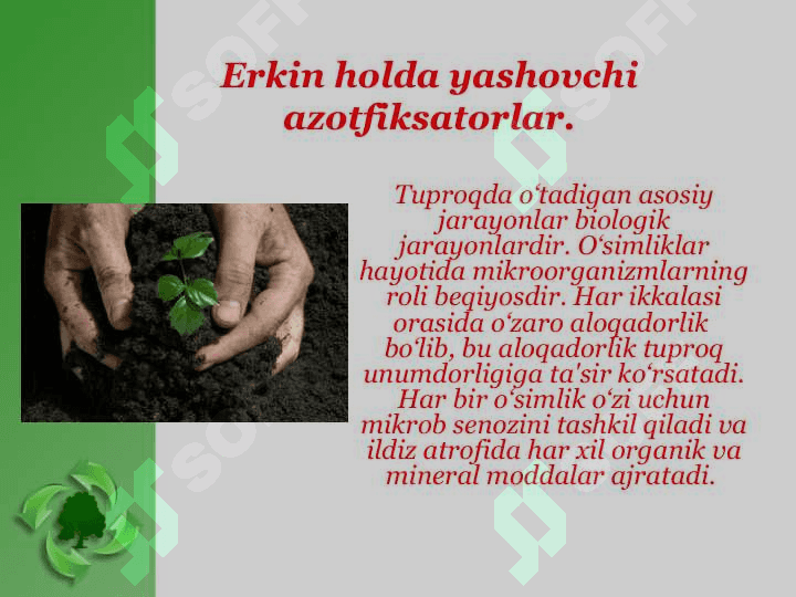 Tuproq - mineral elementlar manbai 3