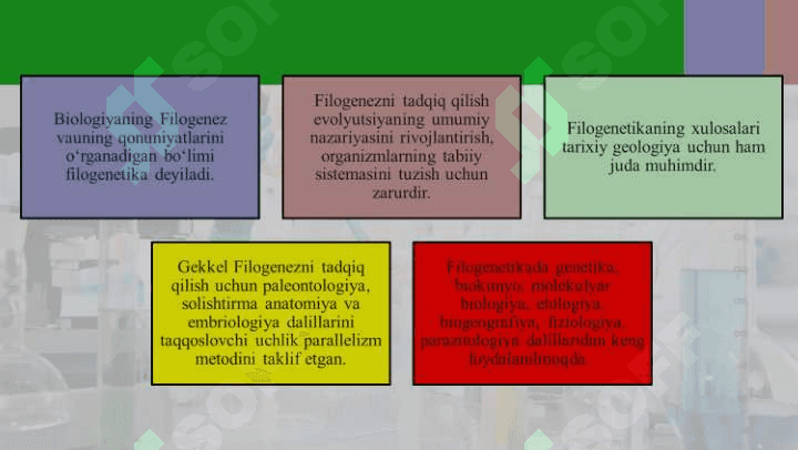 Ontogenez va filogenez haqida tushuncha 3
