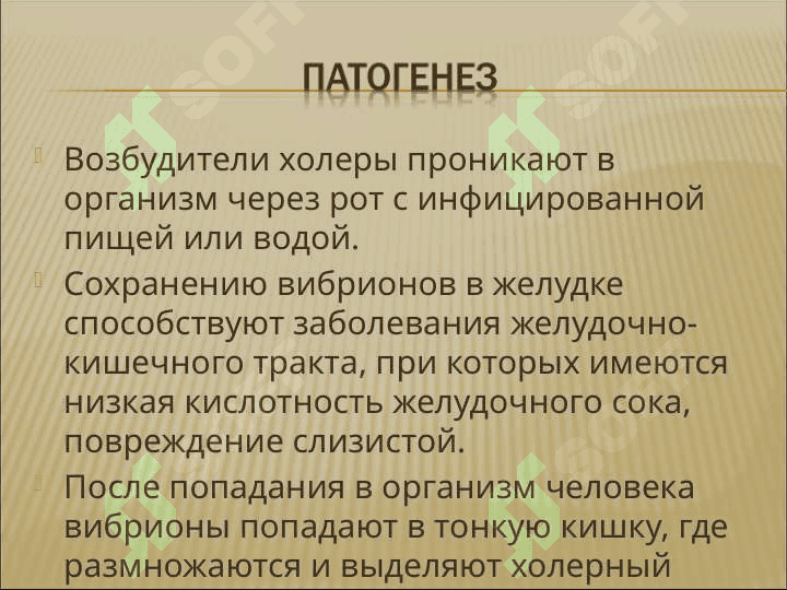 холера 7