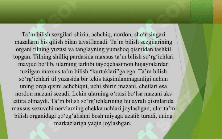 TA’M BILISH IDROKI 2