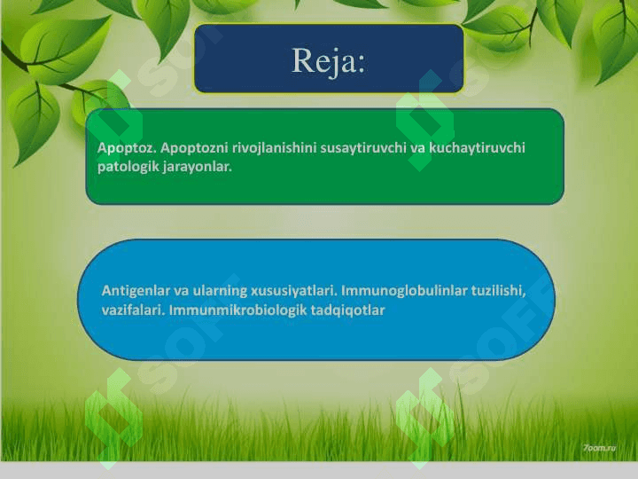Apoptoz 2