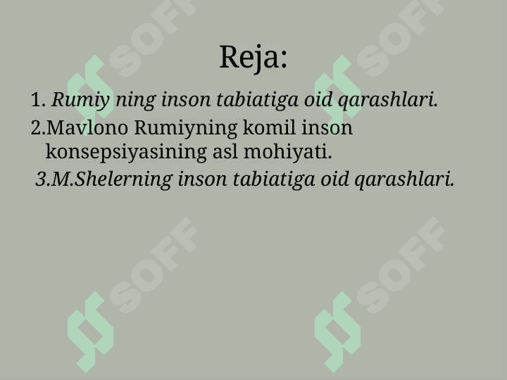Jaloliddin  Rumiy va M.Shelerning inson tabiatiga oid qarashlari. 2