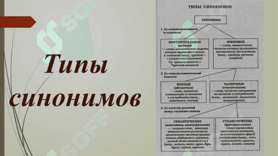 Синонимы. Антонимы. Омонимы. 3