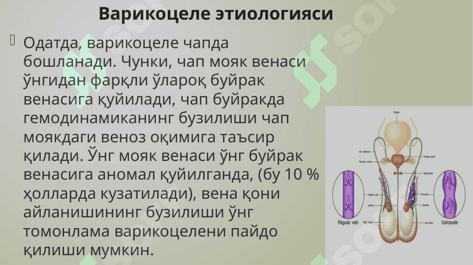 Varikosele. Peyroni kasalligi. 5