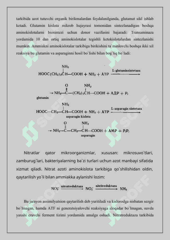 Aminokislotalar biosintezi texnologiyasi 4