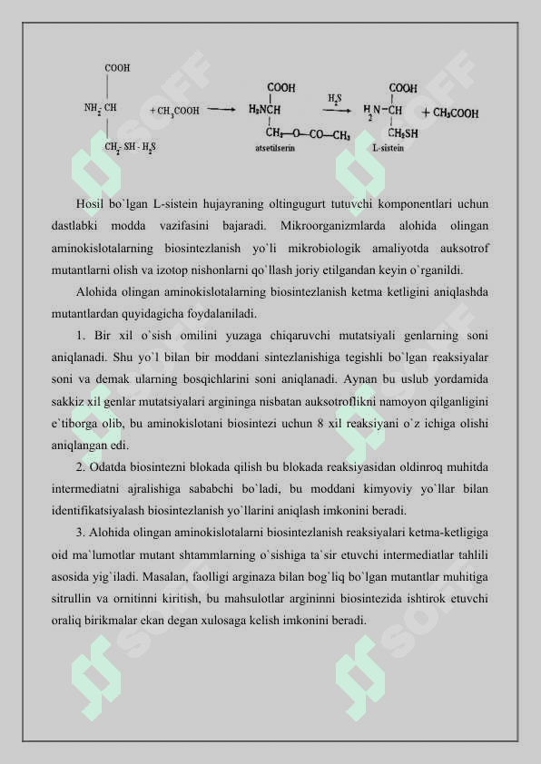Aminokislotalar biosintezi texnologiyasi 6