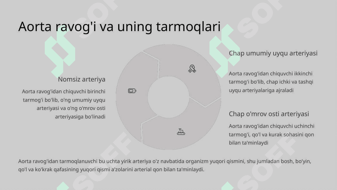 Aorta va uning tarmoqlari Bosh miyyani qon bilan ta'minlanishi 4