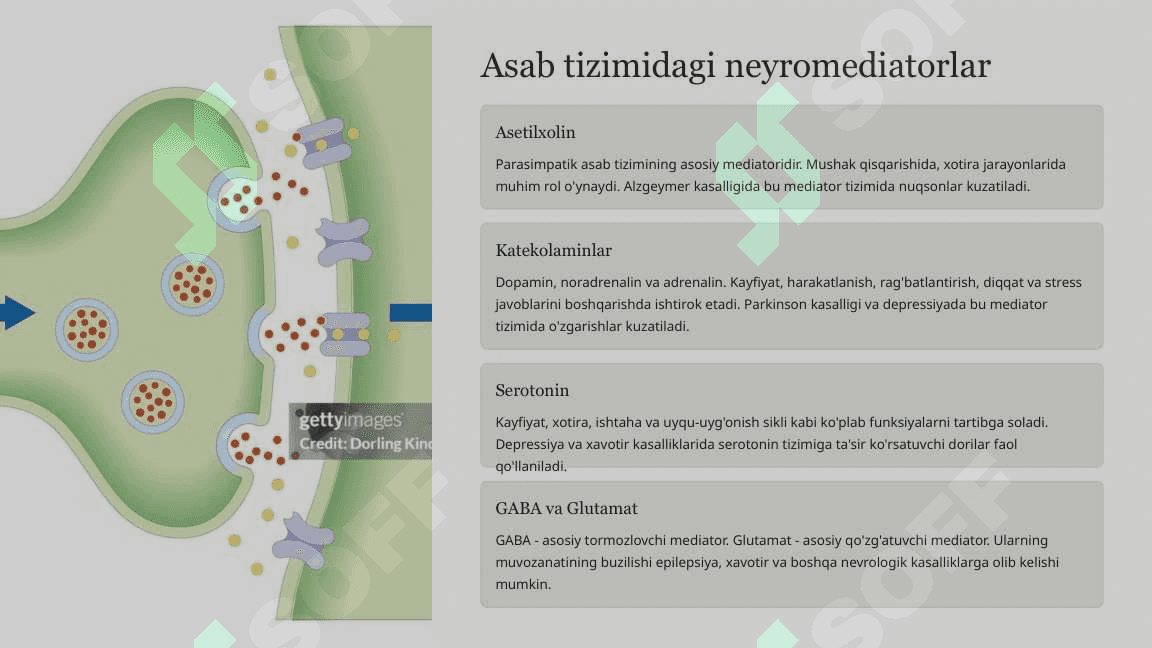 Asab sistemasiga ta'sir etuvchi dori vositalar 4