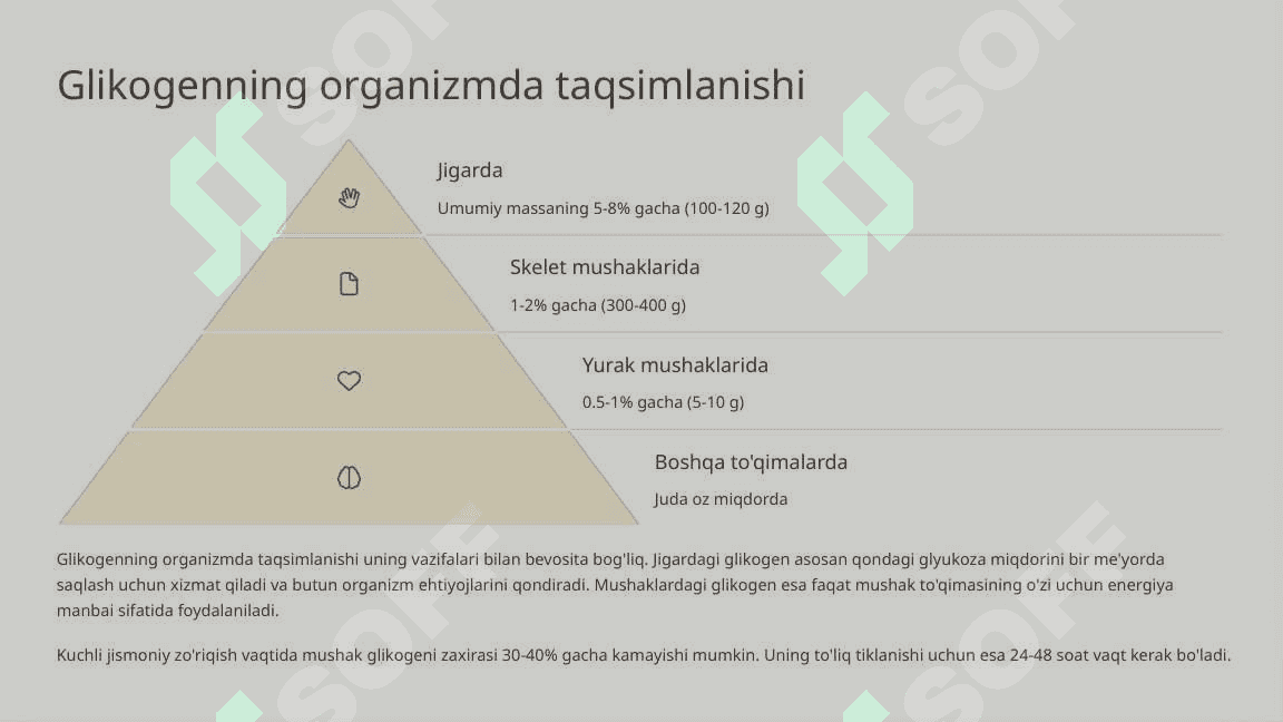 Glikogenning metabolizmi va energiya ta'minotidagi ahamiyati 4