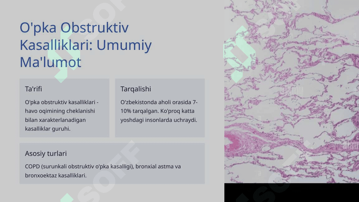 O'pka Kasalliklari Diagnoz va Davolash Asoslari 3