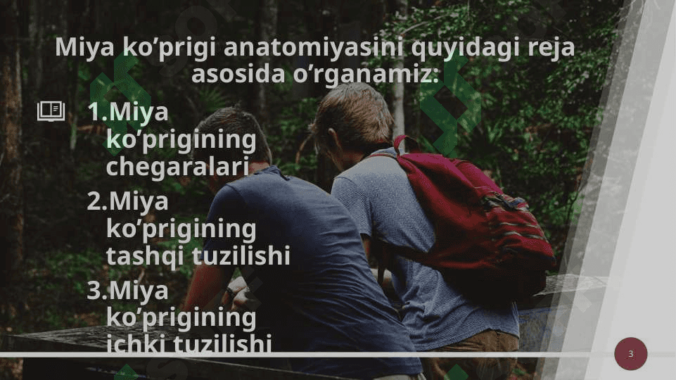 Miya ko’prigi va miyacha 3