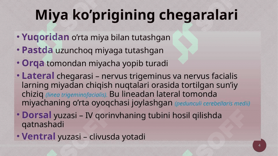 Miya ko’prigi va miyacha 4