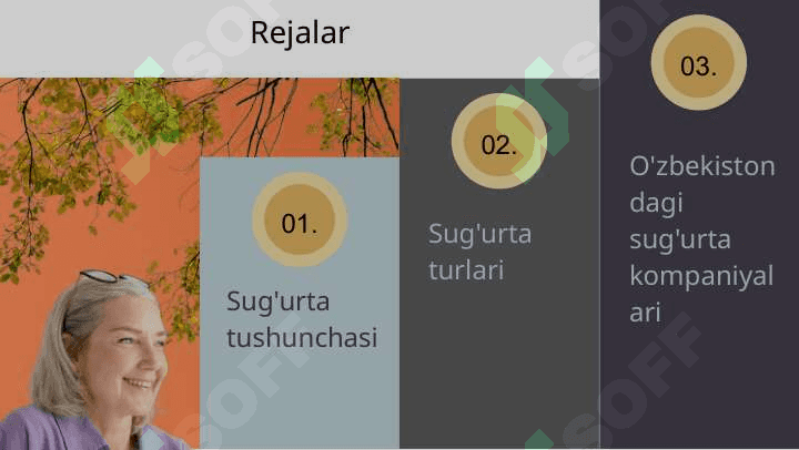 Sug'urta . Sug'urtaning asosiy tushunchalari 2
