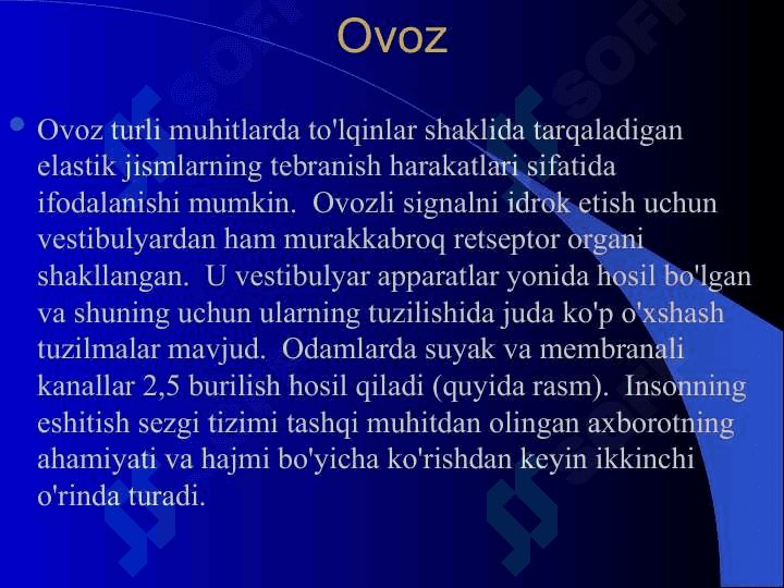 Eshitish analizatori 2