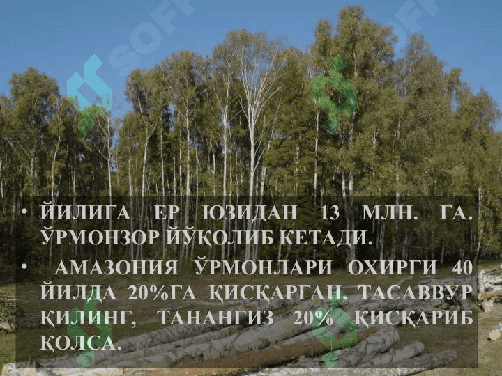 Ўрта Осиёнинг 7