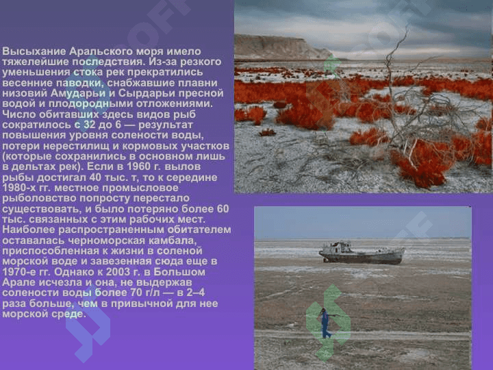 Проблема Аральского моря 6