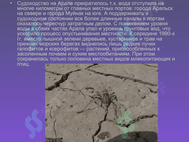 Проблема Аральского моря 7