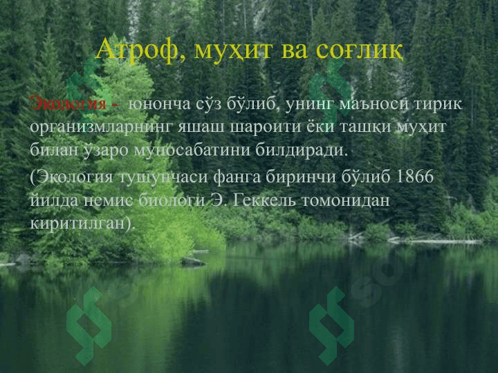 Экология 5