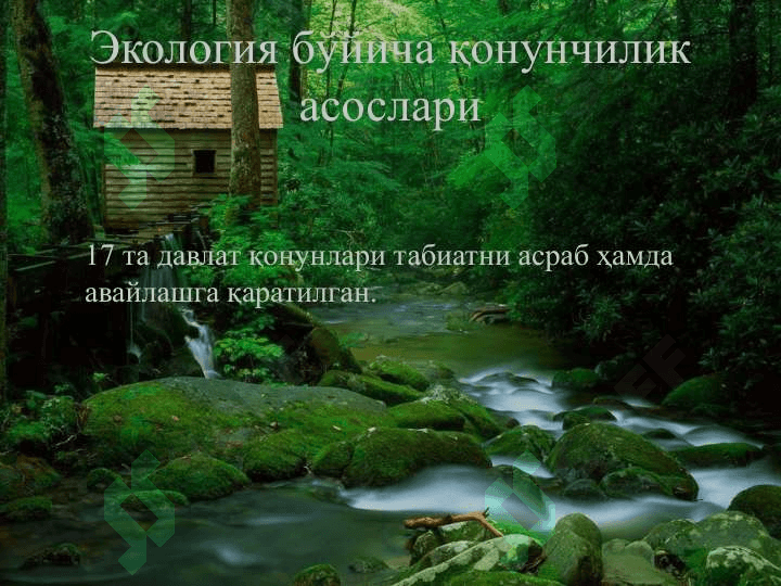 Экология 7
