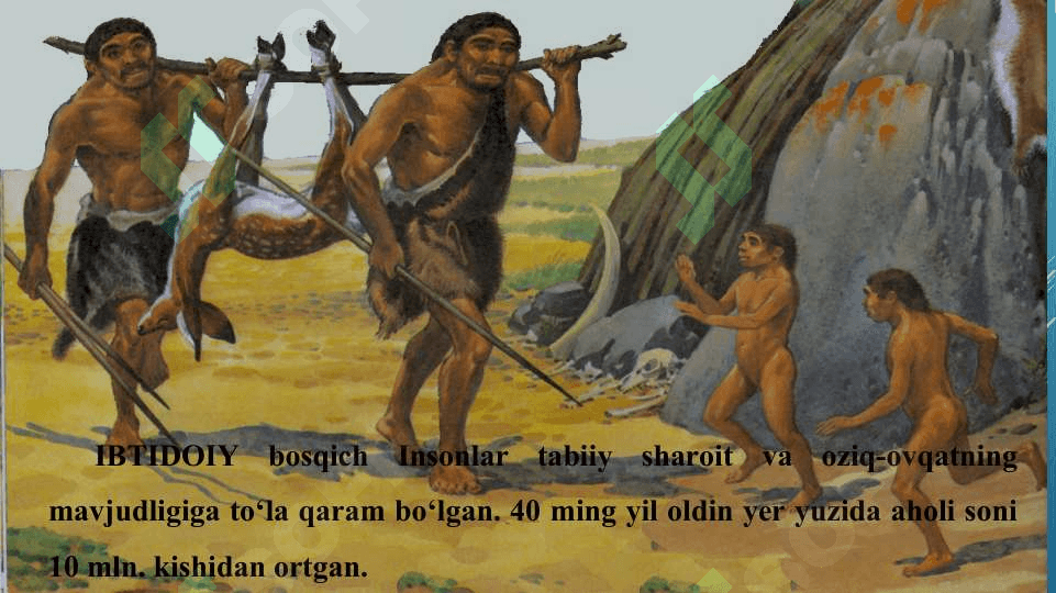 Asosiy ekologik tushunchalar 2