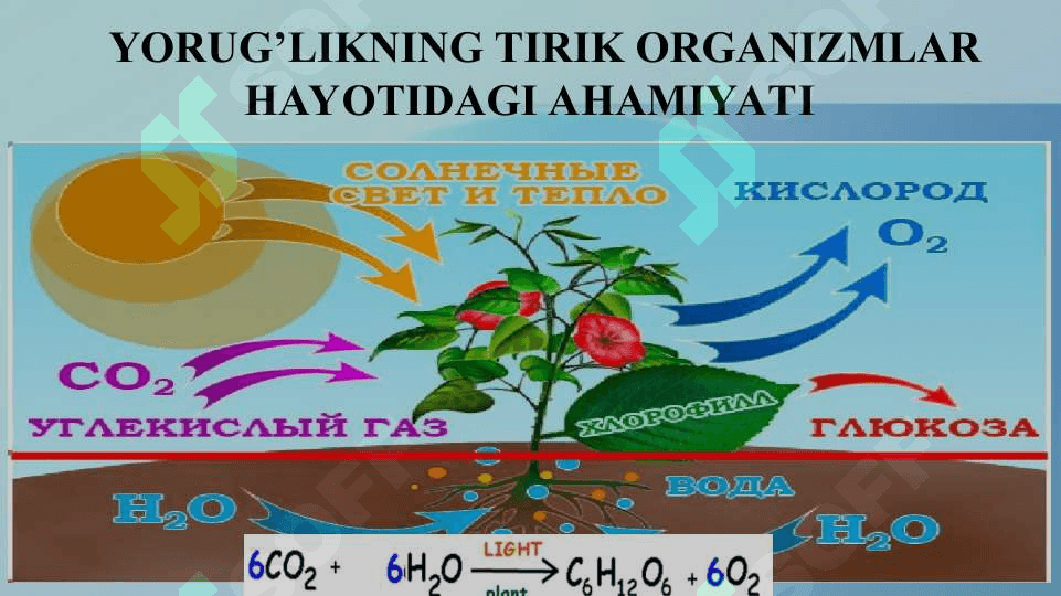Atrof-muxit ekologik omillari va ularning o‘zaro ta’siri xususiyatlari 8