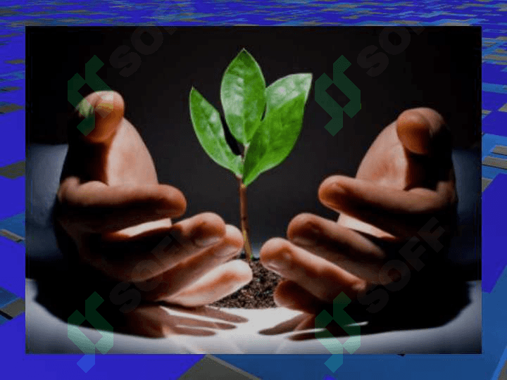 Biosfera, global eko tizim (2) 6