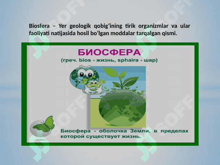 Biosfera va uni muhofaza qilish 5