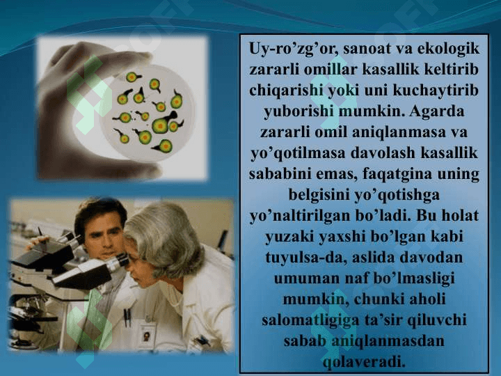 Ekologiya 1 7