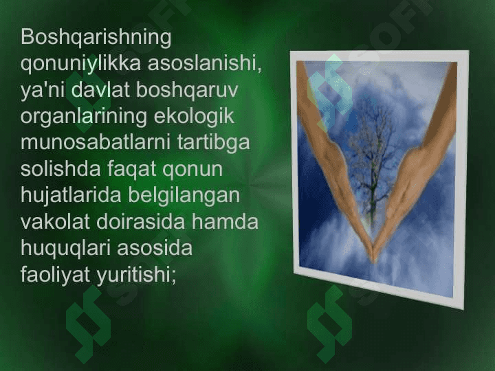 Ekologiya sohasida 6