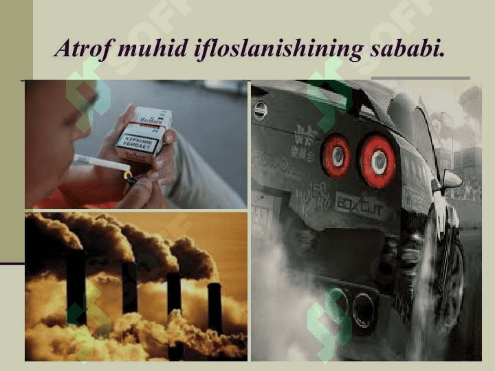 Ekologiya va atrof-muhit 4