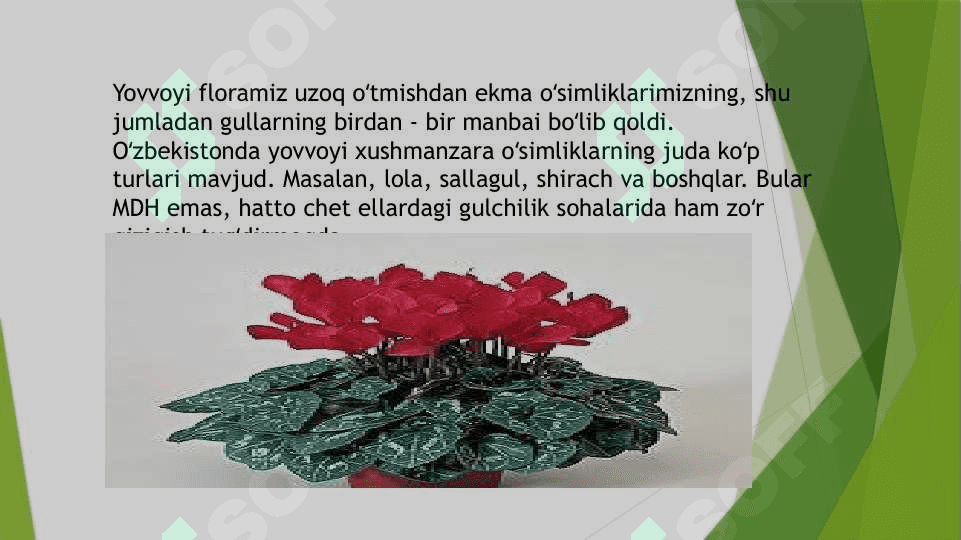 Turli fasllarda gulzorni tashkil etish 2