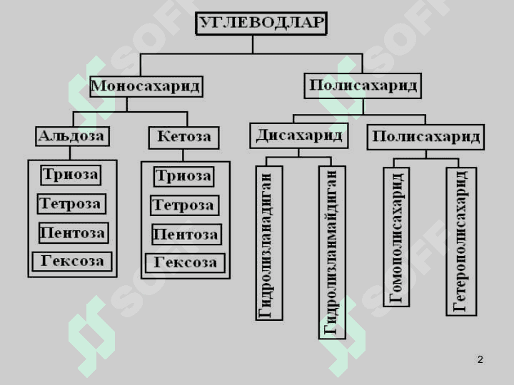 Углеводлар 2