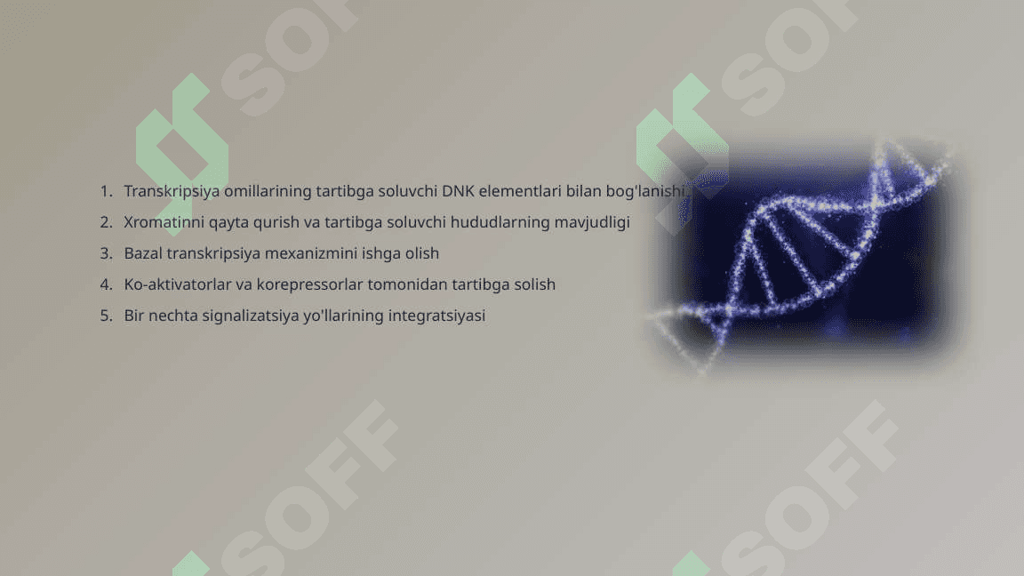 Gen faoliyatining Boshqarilishi , Hujayra differensirofkasi 5