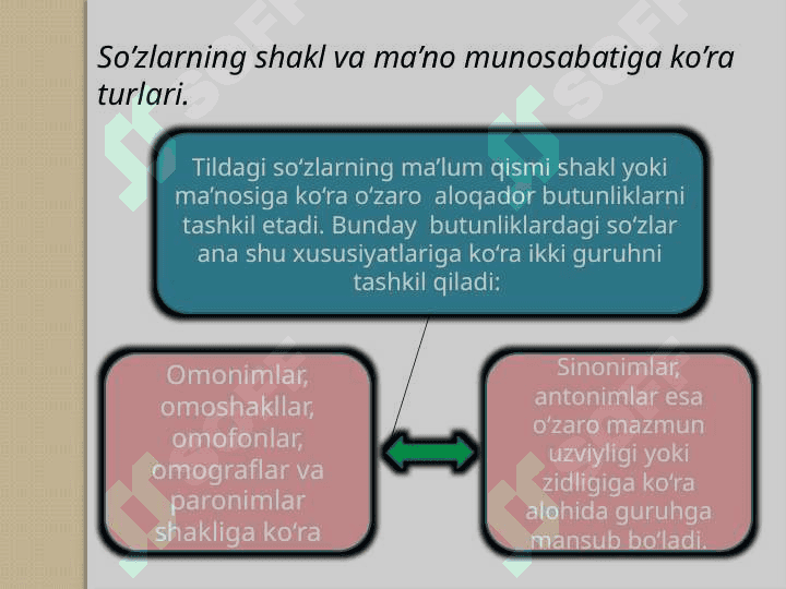 O’zbek tilida leksikologiya 6