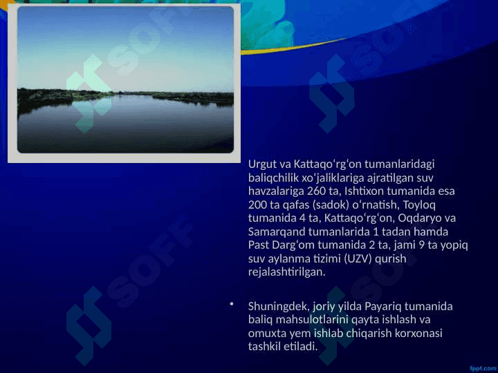 Baliqchilik,  uning iqtisodiy  ahamiyati. 8