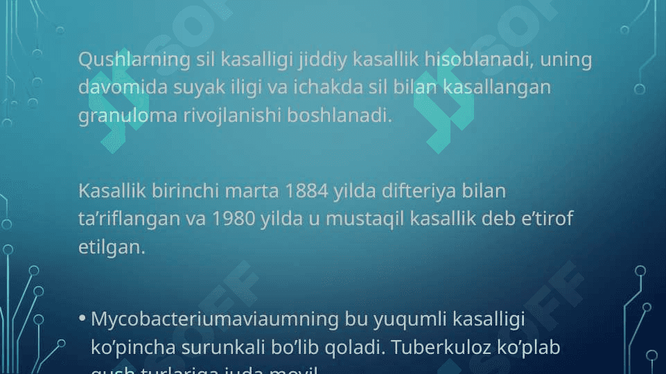 Tuberkulyoz kasalligi Parrandalarda tuberkulyoz 2