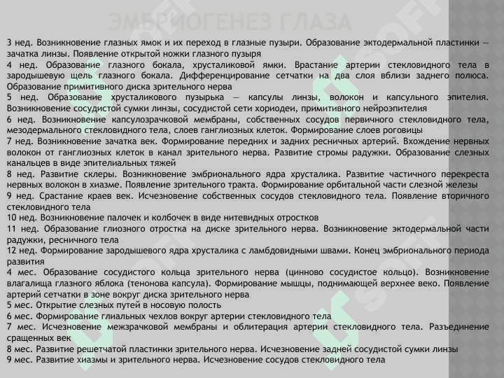 АНАТОМИЯ ОРГАНА ЗРЕНИЯ 4