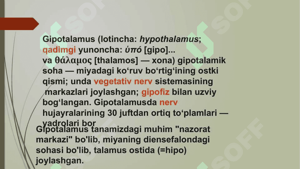 Gipotalamus o’zaklari va ularning klinik ahamiyati 2