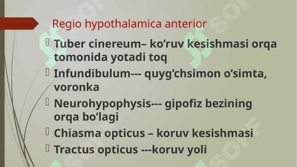 Gipotalamus o’zaklari va ularning klinik ahamiyati 4