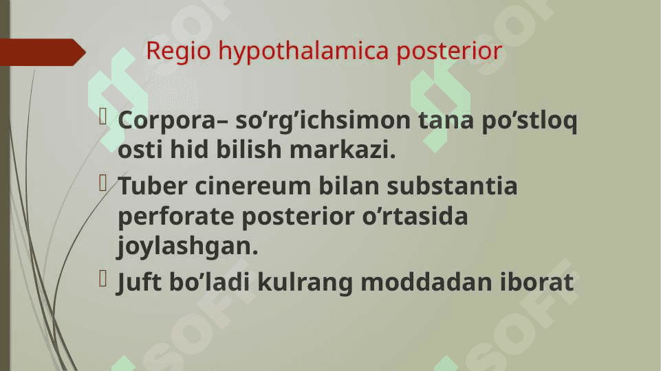 Gipotalamus o’zaklari va ularning klinik ahamiyati 5