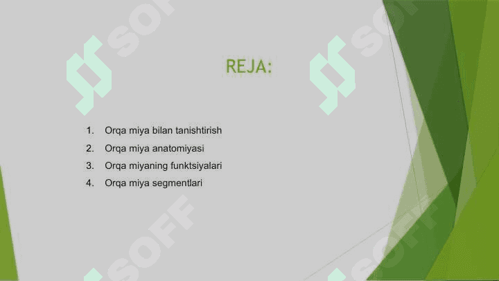 ORQA MIYA O’ZAKLARINING JOYLASHUVI VA ULARNING AHAMIYATI 2