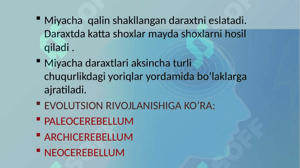 MIYACHA O’ZAKLARI VA ULARNING KLINIK AHAMIYATI 5