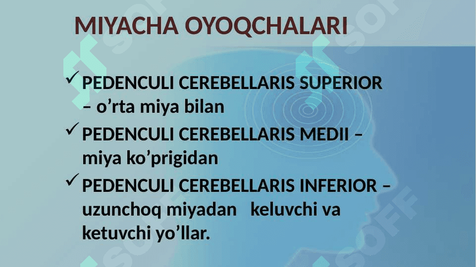 MIYACHA O’ZAKLARI VA ULARNING KLINIK AHAMIYATI 7