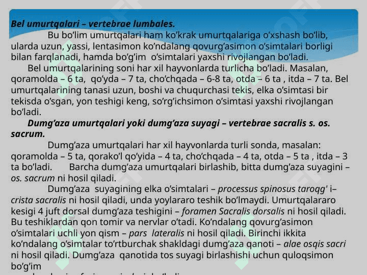 Umurtqa, qovurg`a, to`sh suyagi, ko`krak  qafasi suyaklari 4