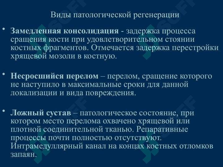 Регенерация костной ткани.Принципы лечения переломов 6