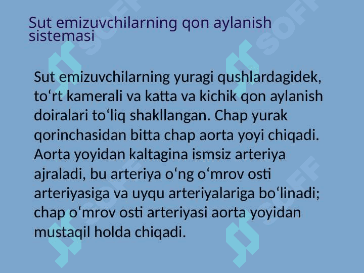 Sut emizuvchilarning qon aylanish tizimi 8