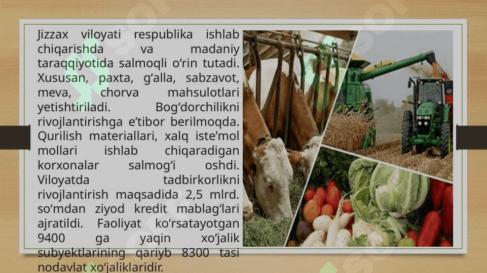 Jizzax viloyatining rivojlangan tarmoqlari 4